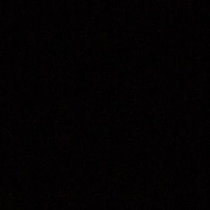 Meet your Posher, Peter